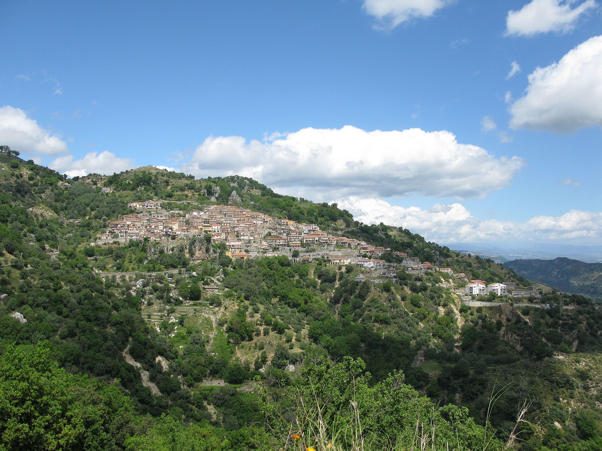 Staiti